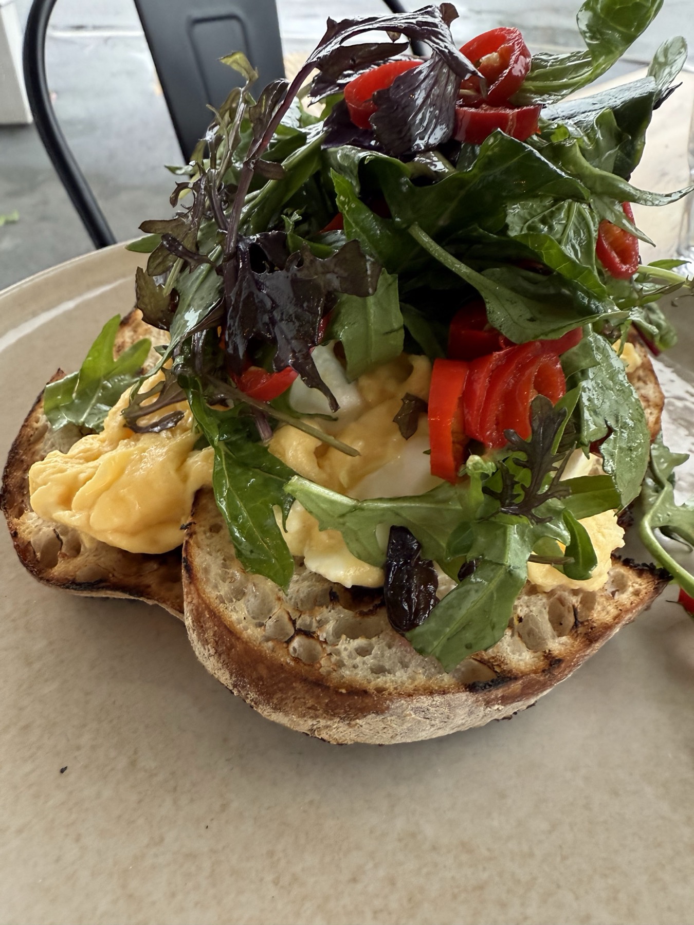 Mushroom toast with pesto and microgreens